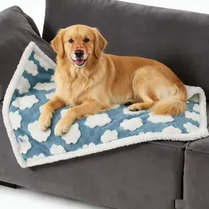 Cloud Print Reversible Pet Blanket | Soft Plush Throw for Dogs & Cats