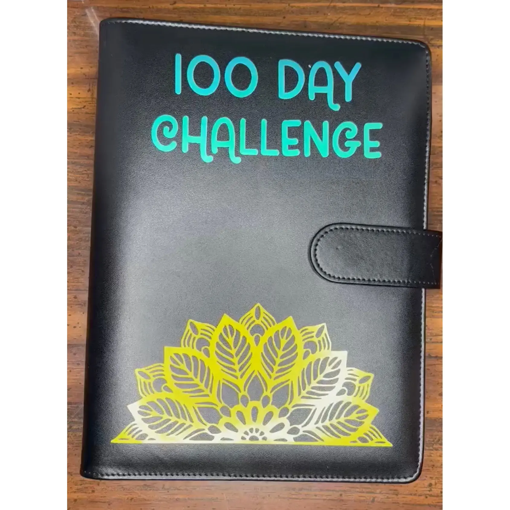 100 Day Savings Challenge