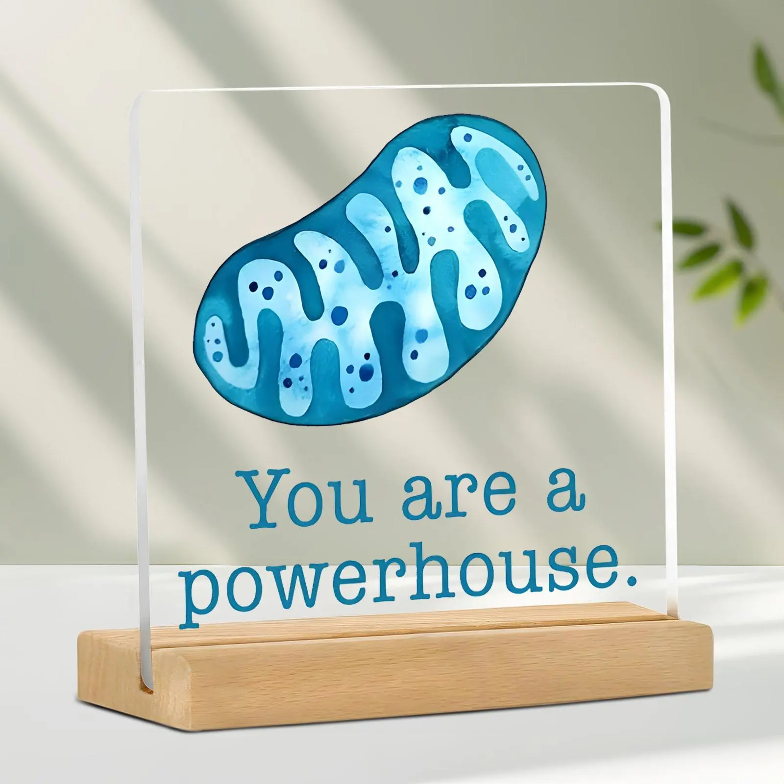 Science Themed Acrylic Desktop Ornament, Creative Science Quote Pattern Desktop Ornament, Office Desktop Decoration, Gift for Scientist