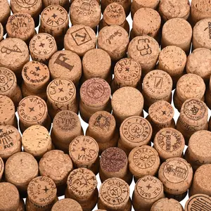 Recycled Champagne & Sparkling Wine Corks For Crafting (50)