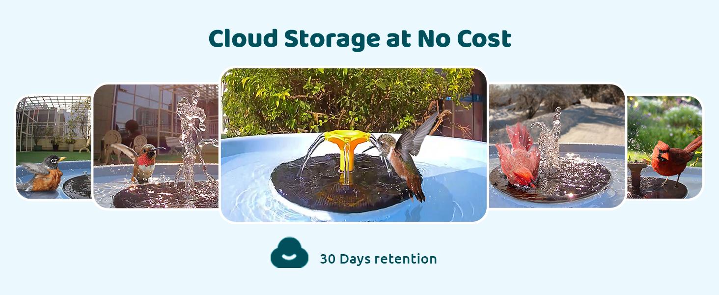 Birdfy Smart Bird Bath with Camera Solar Powered & Fountain, Dual-Lens Camera for Wildbird Watching, Auto Capture Bird Videos & Motion Detection, SummerVibes, Petlovers Birdfy Smart Bird Bath with Camera Solar Powered & Fountain, Dual-Lens Camera for Wildbird Watching, Auto Capture Bird Videos & Motion Detection, SummerVibes, Petlovers
