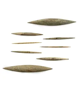 Tamarind Wooden Septum Spike