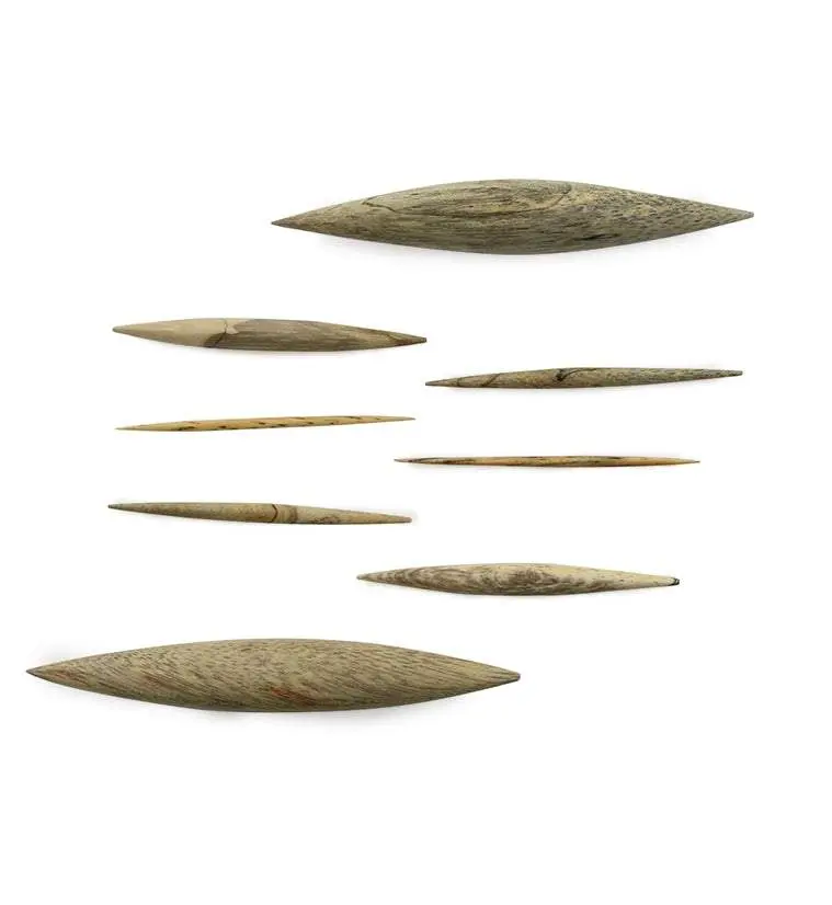 Tamarind Wooden Septum Spike