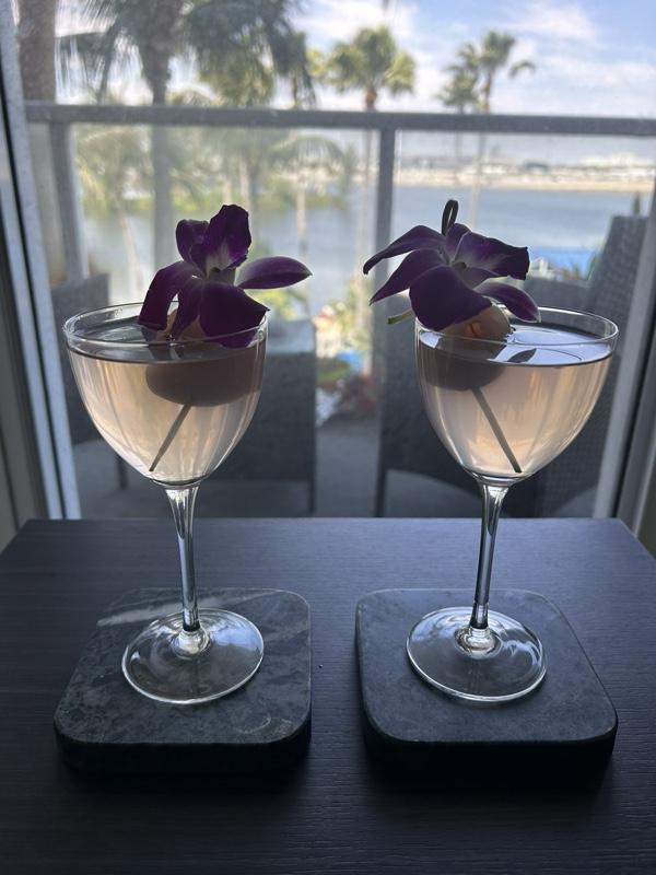 EddyArtServices' Luxury Vanilla Lychee Martini Recipe & Glassware Package - Perfect for Gift