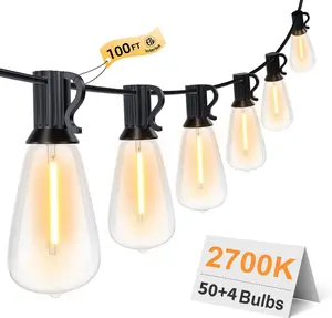 SEURON LED String Lights 2700K Warm White 100FT(50+4) Bulbs IP65 Waterproof Flexible Energy Saving Patio Deck Garden Lights Lamp Decoration UL Certified