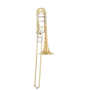 S.E. Shires Q Series Bass Trombone Gold Brass Bell w/Axial Valves (TBQ36GA)