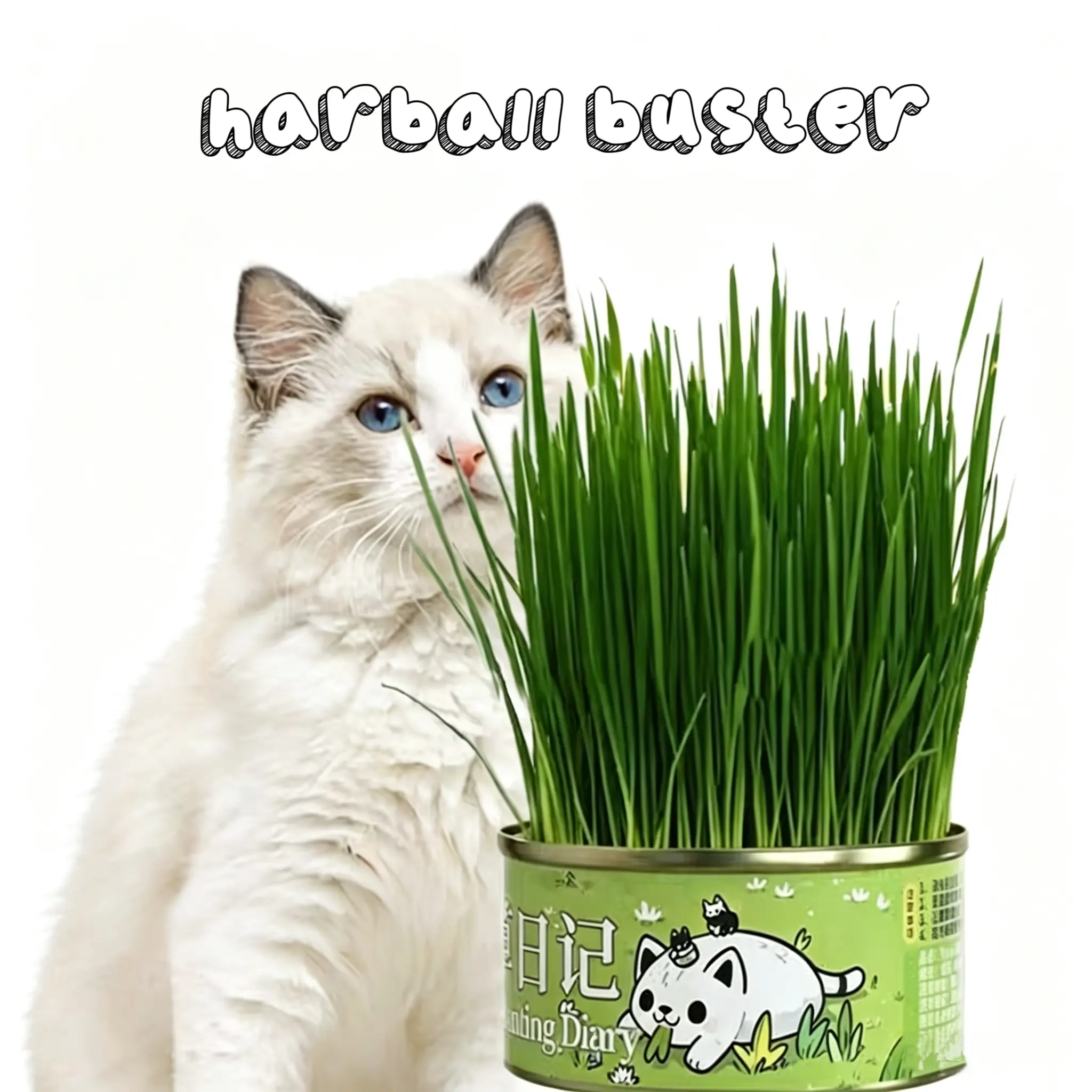 WhiteBear Cat Grass Kit for Indoor Cats, Hairball Control, Anti-Inflammatory, They can grow simply by opening the can and adding water.Improves Digestion and Metabolism