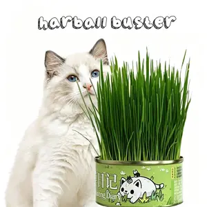 WhiteBear Cat Grass Kit for Indoor Cats, Hairball Control, Anti-Inflammatory, They can grow simply by opening the can and adding water.Improves Digestion and Metabolism