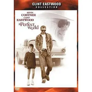 USED-A Perfect World [DVD] (Unknown)