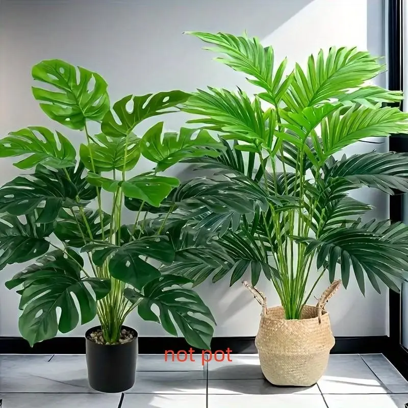 eucalyptus plant care indoor Eucalyptus Plant | Care Guide and Pro Tips - Delivery from Toronto across  Canada