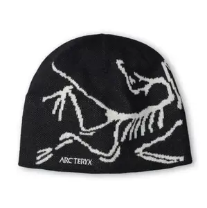 Arc'teryx Bird Head Toque Beanie