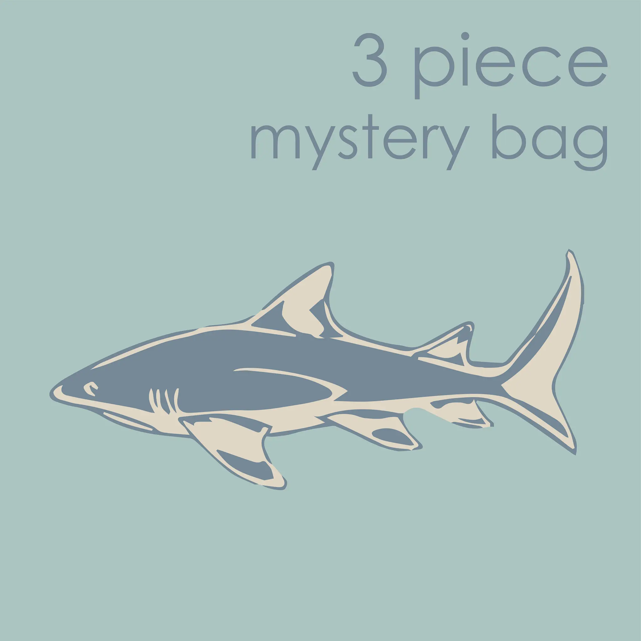 3 Piece Mystery Bag: NO Frill