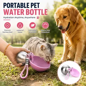 Blue Creative Round Stainless Steel Water Bottle, Cute Round Design, Bright Half-Pack, Handle for Easy Carry, Fits in Bag