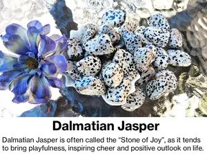 Dalmatian Jasper Loose Tumble Gemstone - Natural for Grounding Energy Playfulness Joy & Sleep Assistance