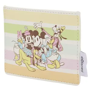 Disney Mickey & Friends Rainbow Stripes Card Holder