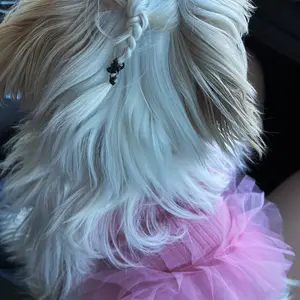 Plaid Tutu Dog & Cat Dress with Harness, Easy Pull-On Breathable Small Pet Clothes, Summer Princess Sundress, Costume