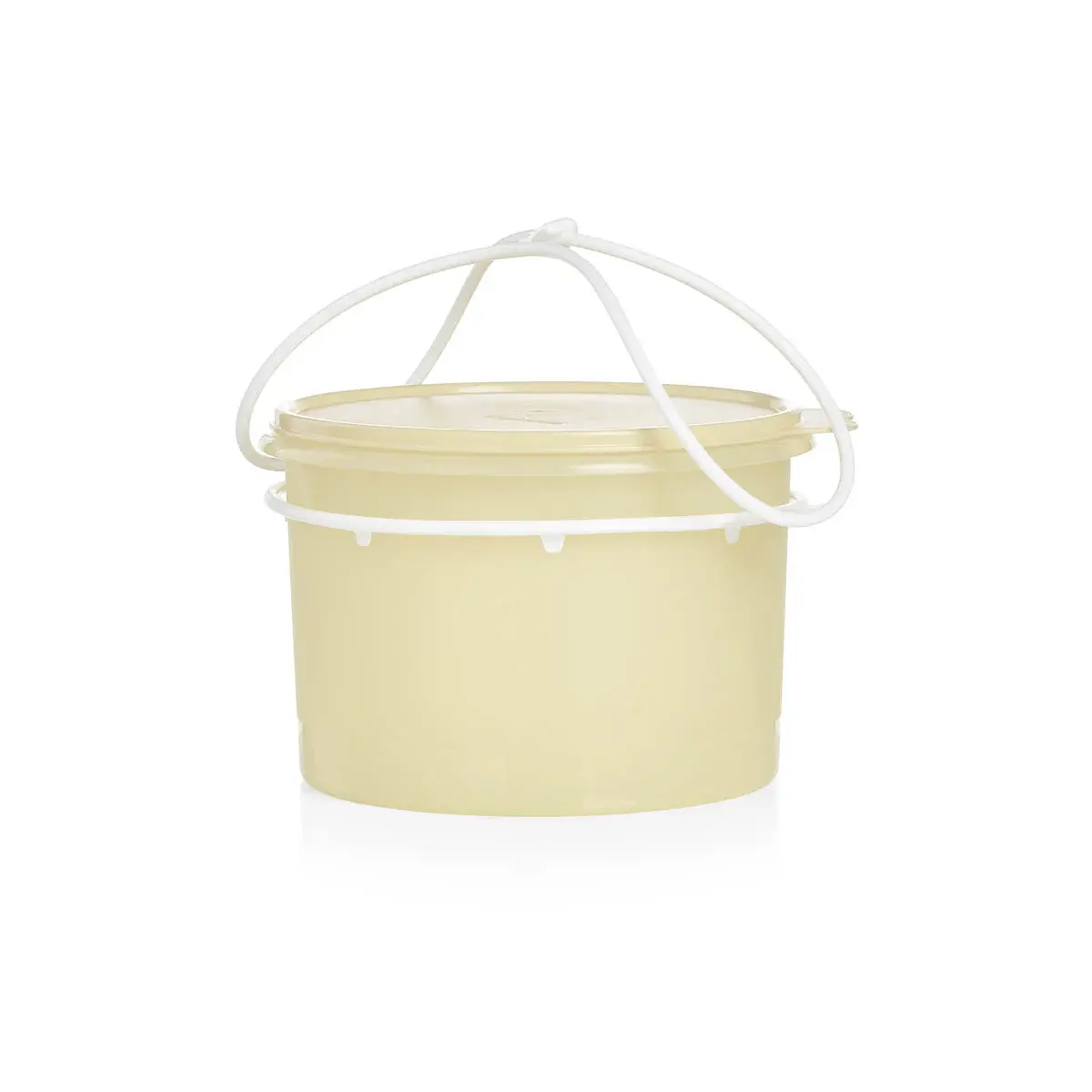 Tupperware Classic 14.25 C Stacking Canister with Cariolier Handle