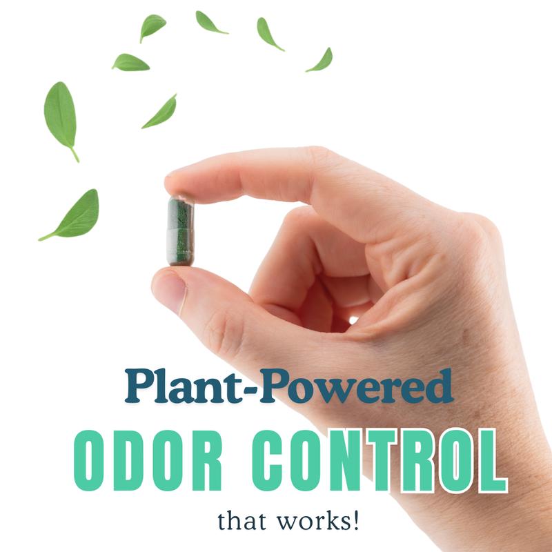 DeoCaps Oral Deodorant - Whole Body Deodorizing Supplement + Sweat Relief - 60 capsules - Pharmacist-Formulated with Chlorophyllin, Sage, Magnesium, and Zinc - Freshen Breath & Reduce Odor In Underarms, Intimate Areas & Feet