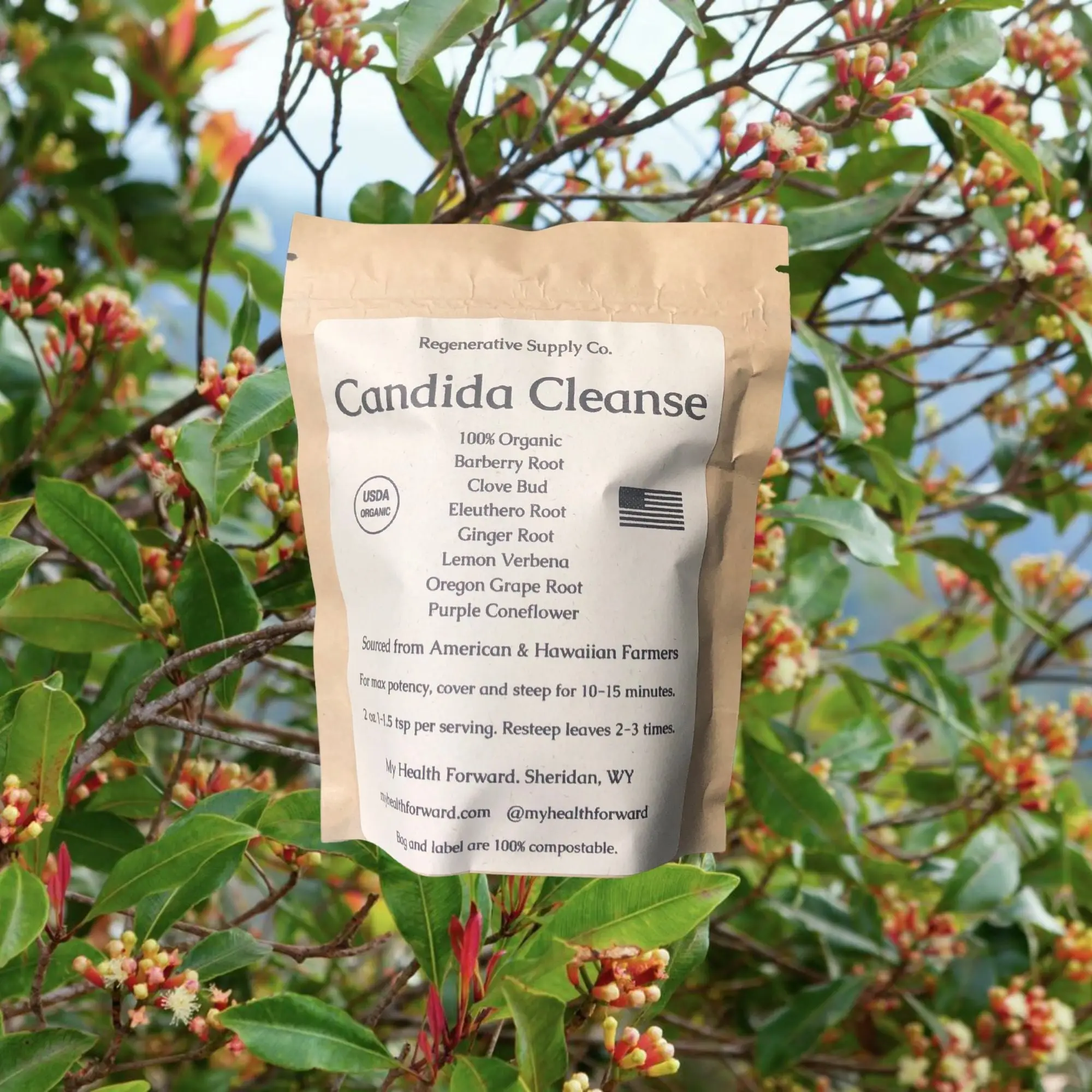 Candida Cleanse Organic Herbal Tea