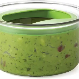 Progressive International Fresh Guacamole ProKeeper Plastic Kitchen Storage Container with Air Tight Lid (Green)