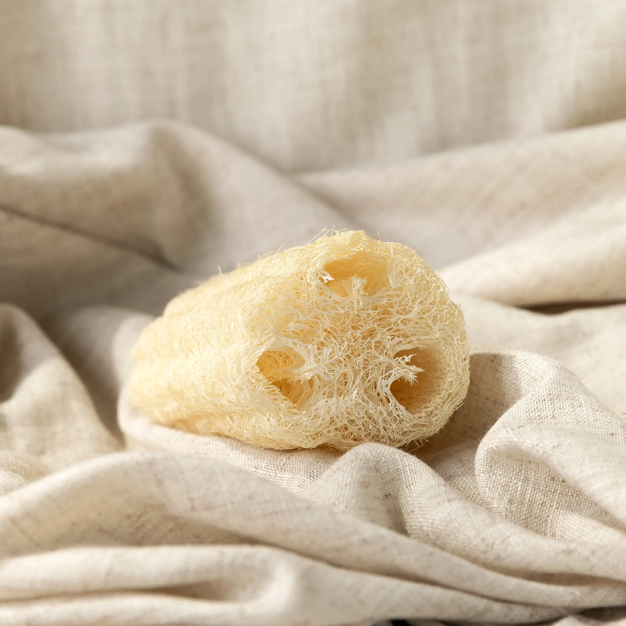 Heirloom Loofah Heirloom Loofah