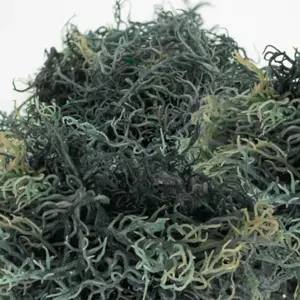 Green Irish Sea Moss -  Premium Quality - 1lb