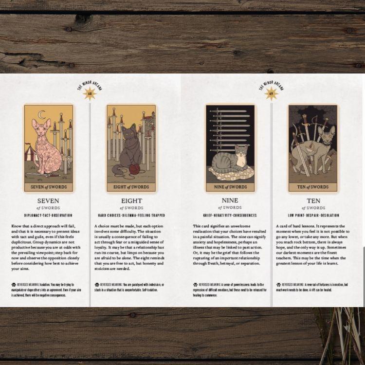 Cats Rule the Earth Tarot Deck | 78-Card Cat Tarot with Guidebook | New Edition