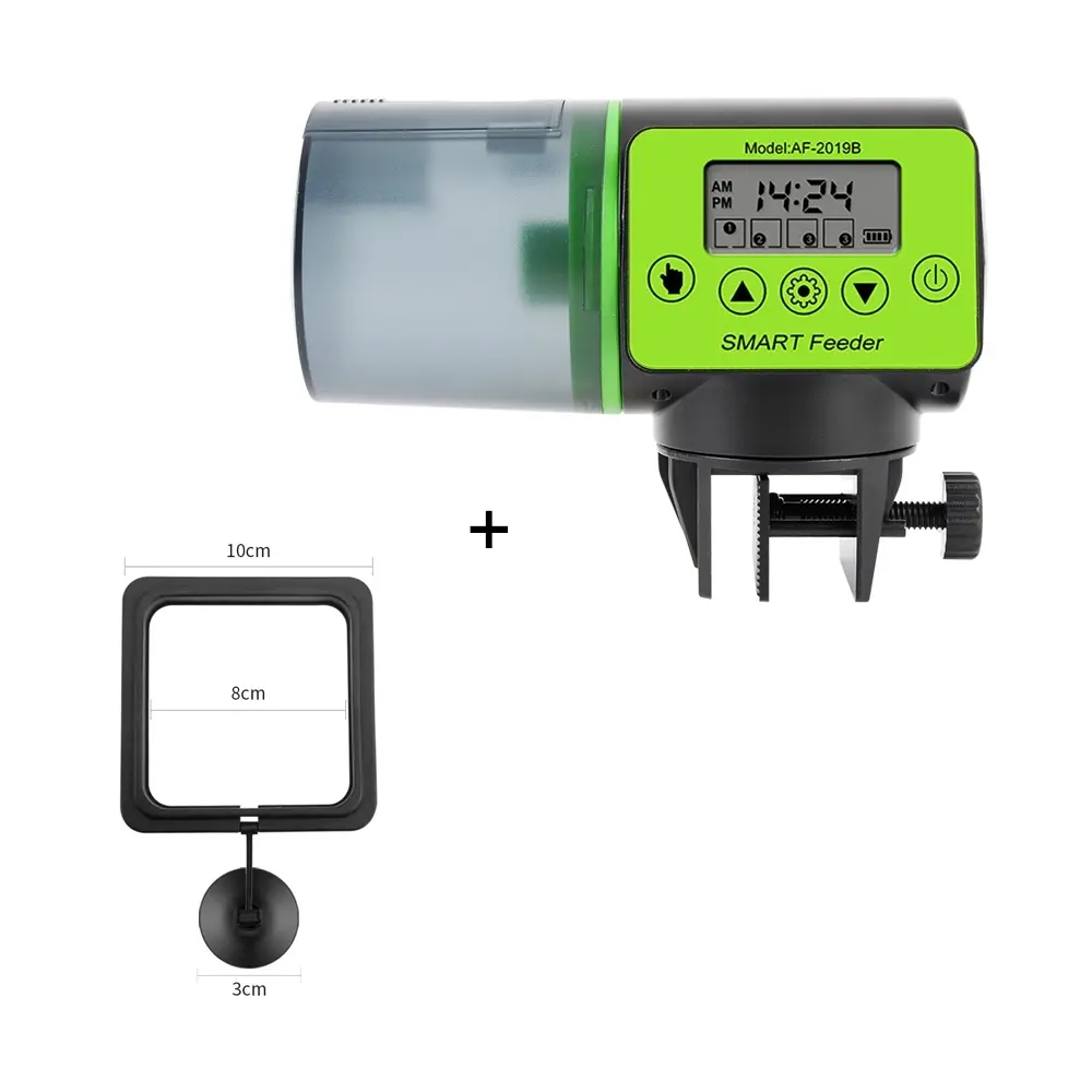 Fish Feeder And Square