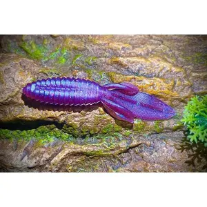KB Fishing "Bouncin Beaver" Soft Plastic Bait (5 Pack)