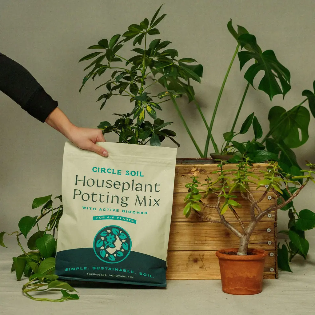 Premium Houseplant Mix [8 qt.]