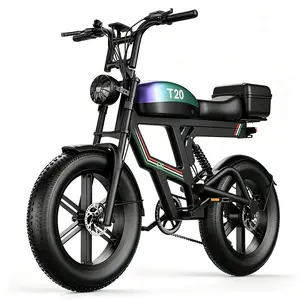 2500W  T20 Electric Bike for Adults 48V 20Ah 18650 Battery,Max 30MPH & 100Miles Range,20'' NFC/Password Unlock, 7-Speed, Dual Suspension IPX7 Waterproof All-Terrain Adult Electric Bike