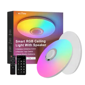 12-Inch RGBICW Ceiling Lights with Speaker Dimmable Lighting