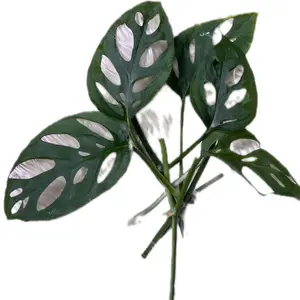 Monstera Esqueleto