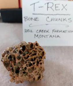 Tyrannosaurus Rex Bone Chunk