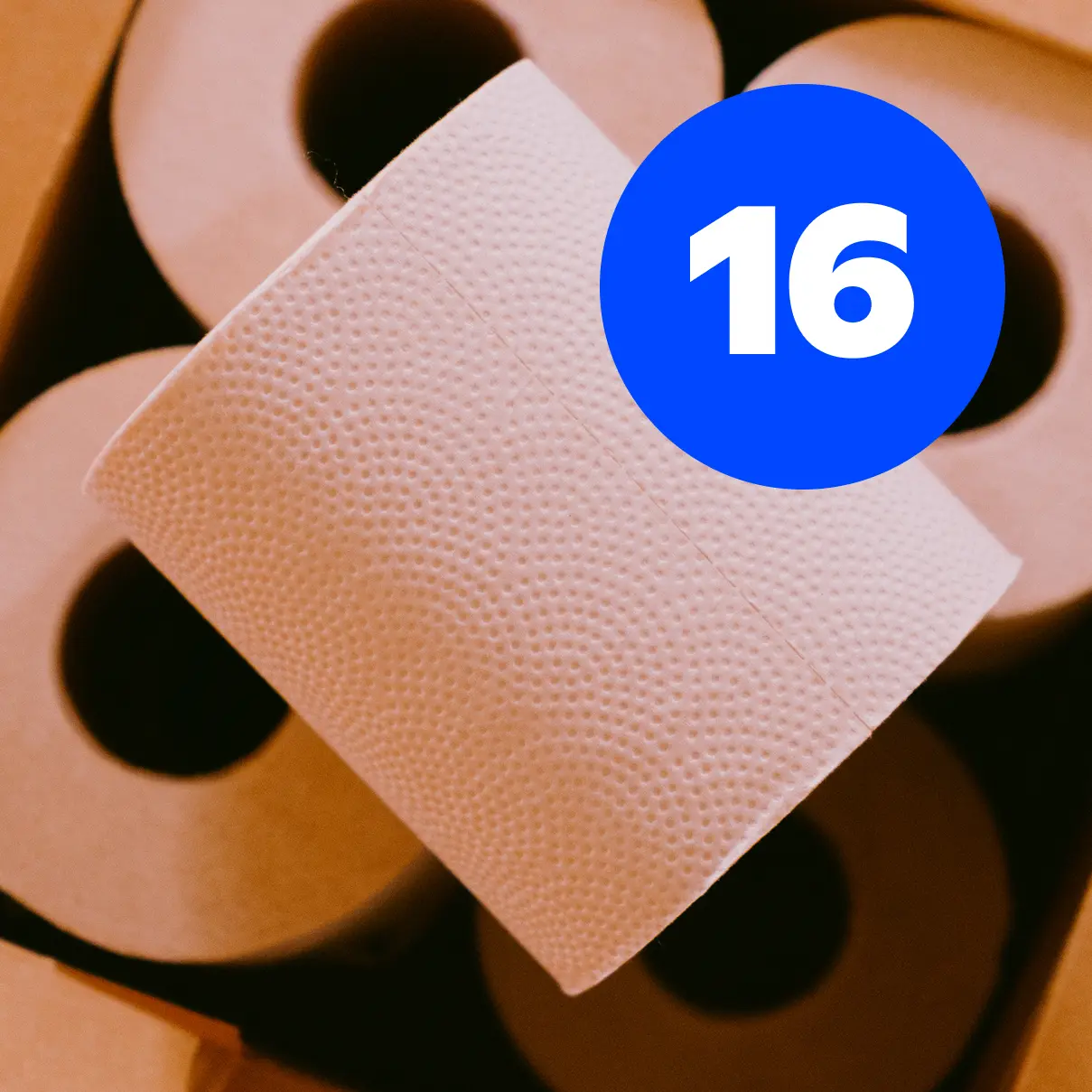 16 Rolls PlantPaper | 100% Toxin-Free Bamboo Toilet Paper | Super Soft, Bleach-Free, PFAS-Free, 3-ply