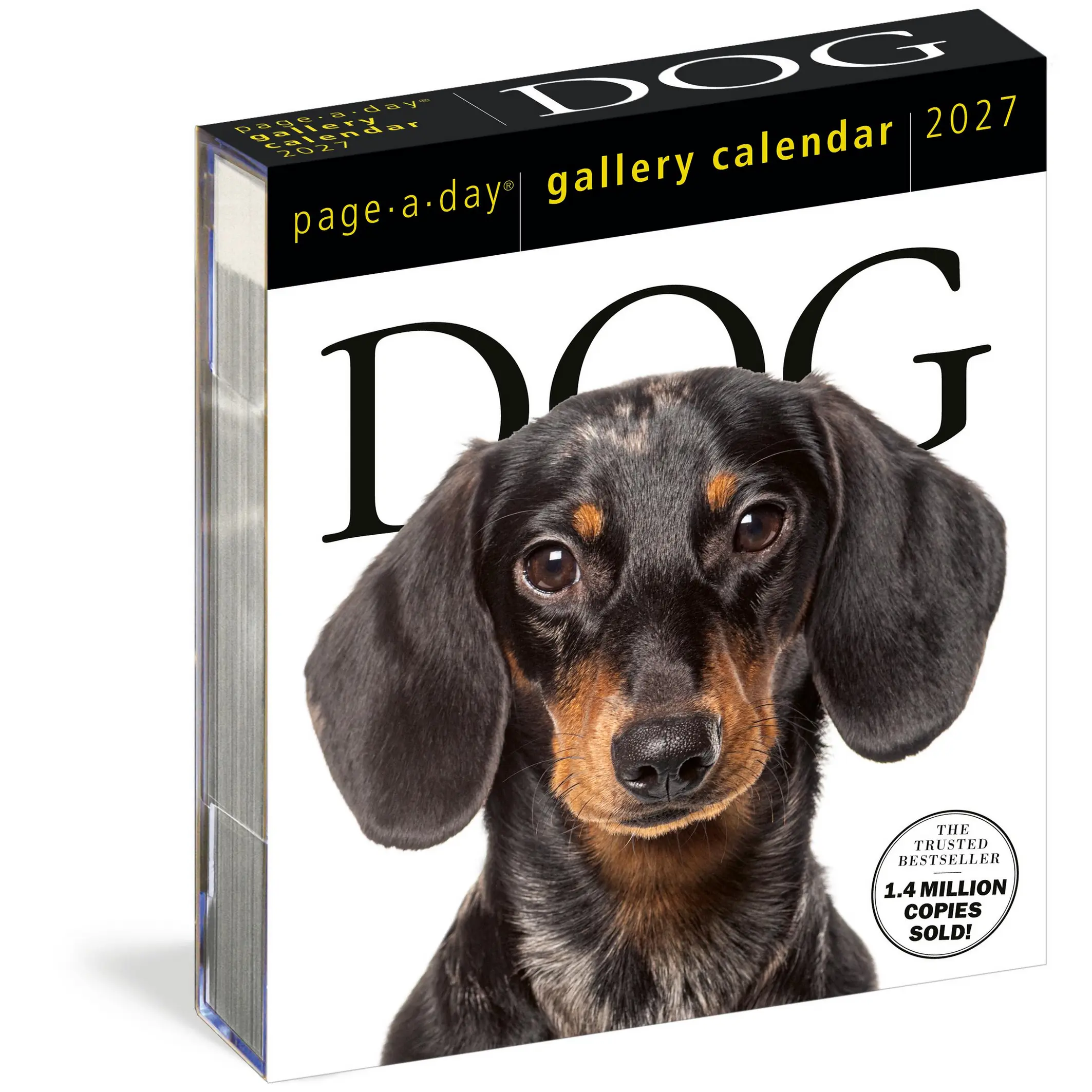 Dog Page-A-Day® Gallery Calendar 2027 by Workman Calendars
