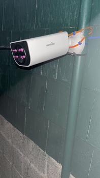 product review image from Derpy Dragon 3