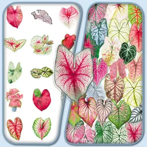 50pcs Caladium Creative Plant Stickers — Fresh DIY Decor for Journal, Desktop Box & Transparent Craft, Decal Sticker