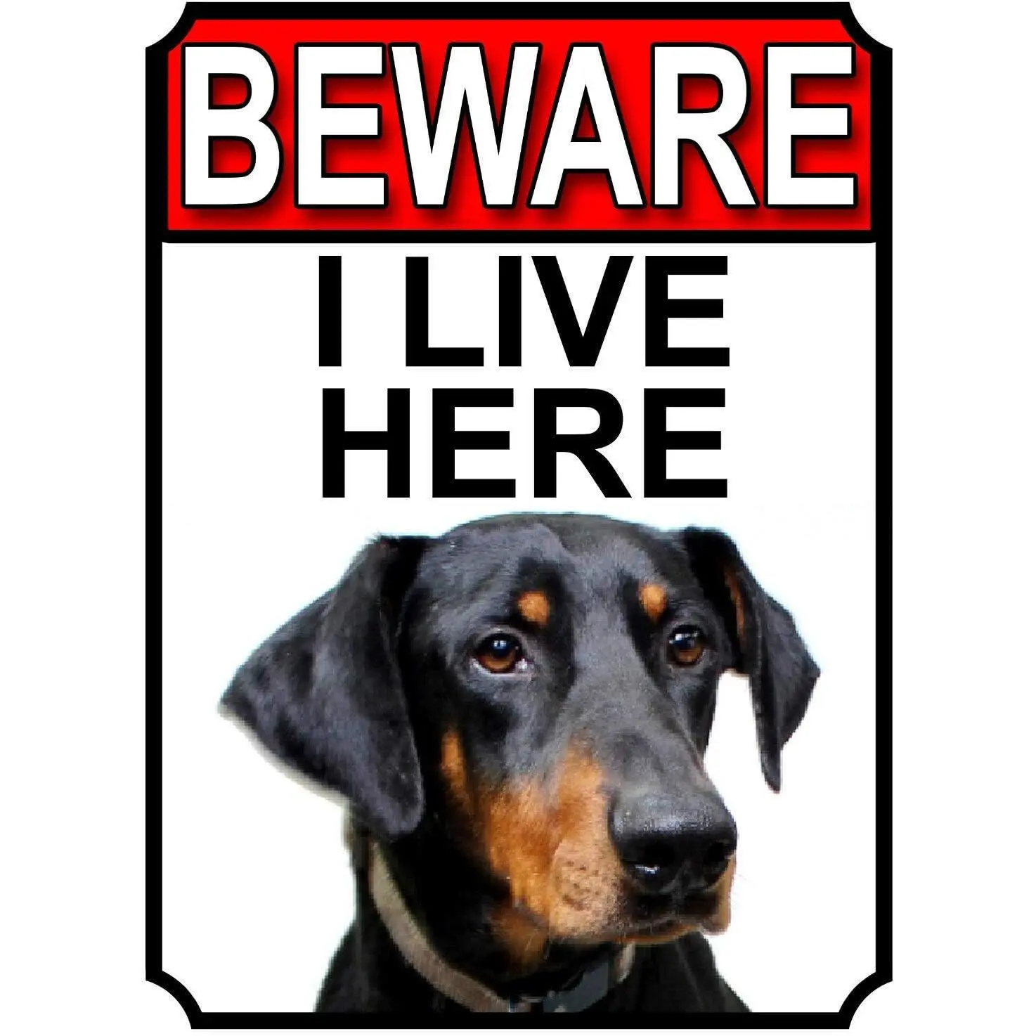 Fanzi Metal Tin Sign - Doberman Pinscher Dog Breed Gate Signs Beware I Live Here 8"X12" Garden Yard Fence