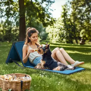 SUNJOY Portable Beach Mat with Adjustable Backrest for Adults (Set of 1) - Blue