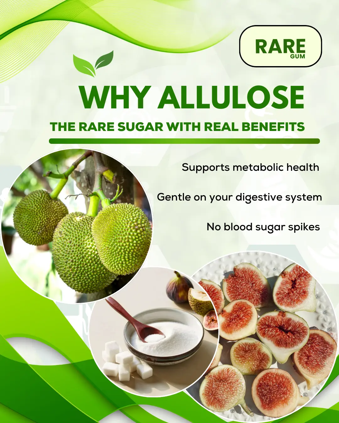 RARE Gum Natural GLP-1 Support | Sweetened with Allulose | No Sugar Alcohols or Artificial Sweeteners | Plastic-Free | Low-Glycemic | Natural Chicle Base - TikTok Shop RARE Gum Natural GLP-1 Support | Sweetened with Allulose | No Sugar Alcohols or Artificial Sweeteners | Plastic-Free | Low-Glycemic | Natural Chicle Base - TikTok Shop