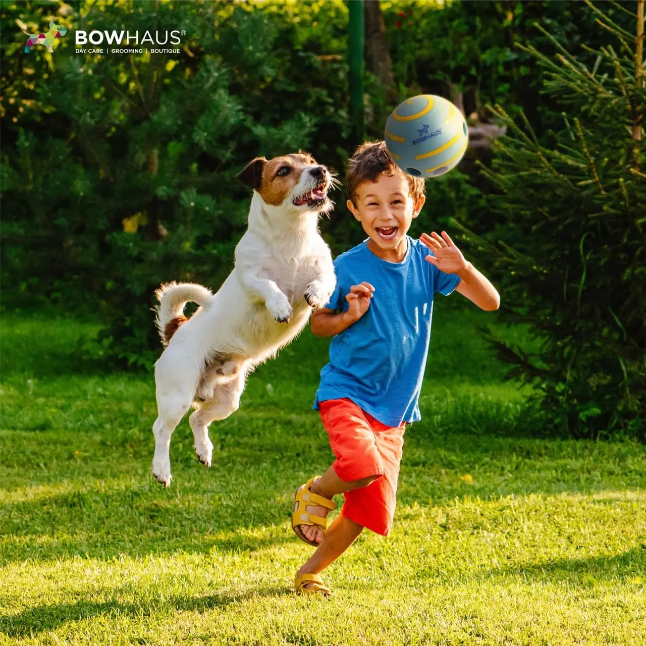 BOWHAUS Giggle Ball for Dogs, 5.5 Inch Interactive Dog Exercise Toys, Indestructible Fun Squeaky Chew Toy, Non-Toxic Durable PVC Chew Ball for Indoor Outdoor Play