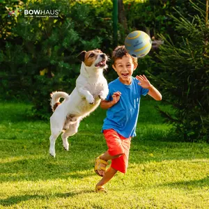 BOWHAUS Giggle Ball for Dogs, 5.5 Inch Interactive Dog Exercise Toys, Indestructible Fun Squeaky Chew Toy, Non-Toxic Durable PVC Chew Ball for Indoor Outdoor Play