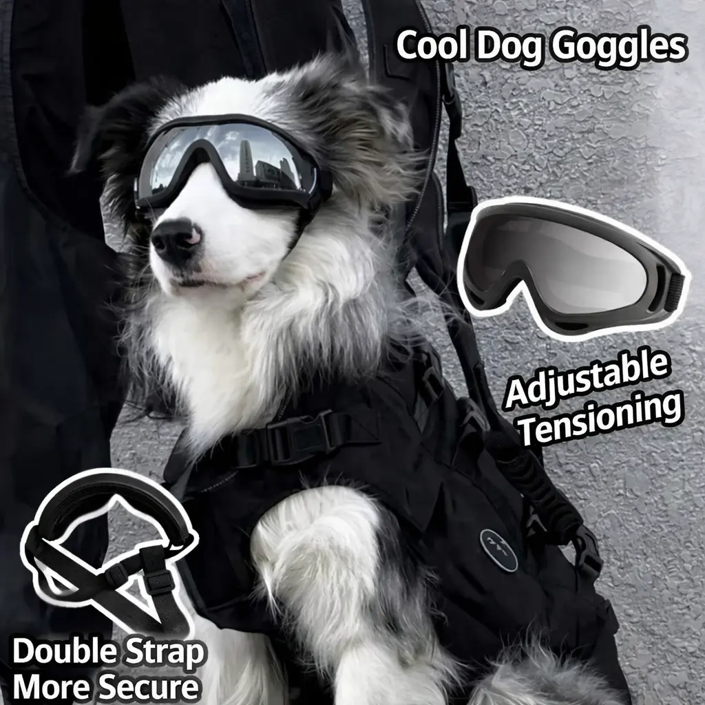 WindShield Dog Goggles – Windproof & Eye Protection Glasses for Medium & Large Dogs with Adjustable Elastic Straps & Transparent Lenses for Clear Visibility