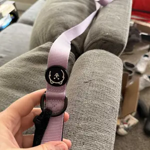 ShawnCo | Dream Walk Dog Leash- Premium, Nylon Pet Leash with Soft Neoprene Handle for Small, Medium and Large Dogs