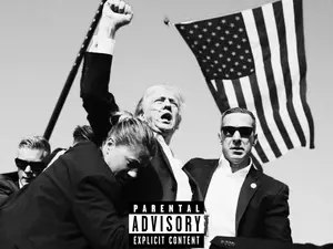 TRUMP ALBUM COVER FLAG - 3x5 Feet