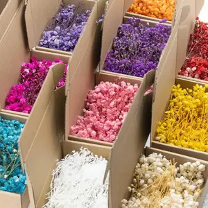 50pcs Dry Flowers Baby's Breath Bouquet Gypsophila Floral Arrangement Wedding Party Decor Vase DIY Table Pampas Grass Decoration