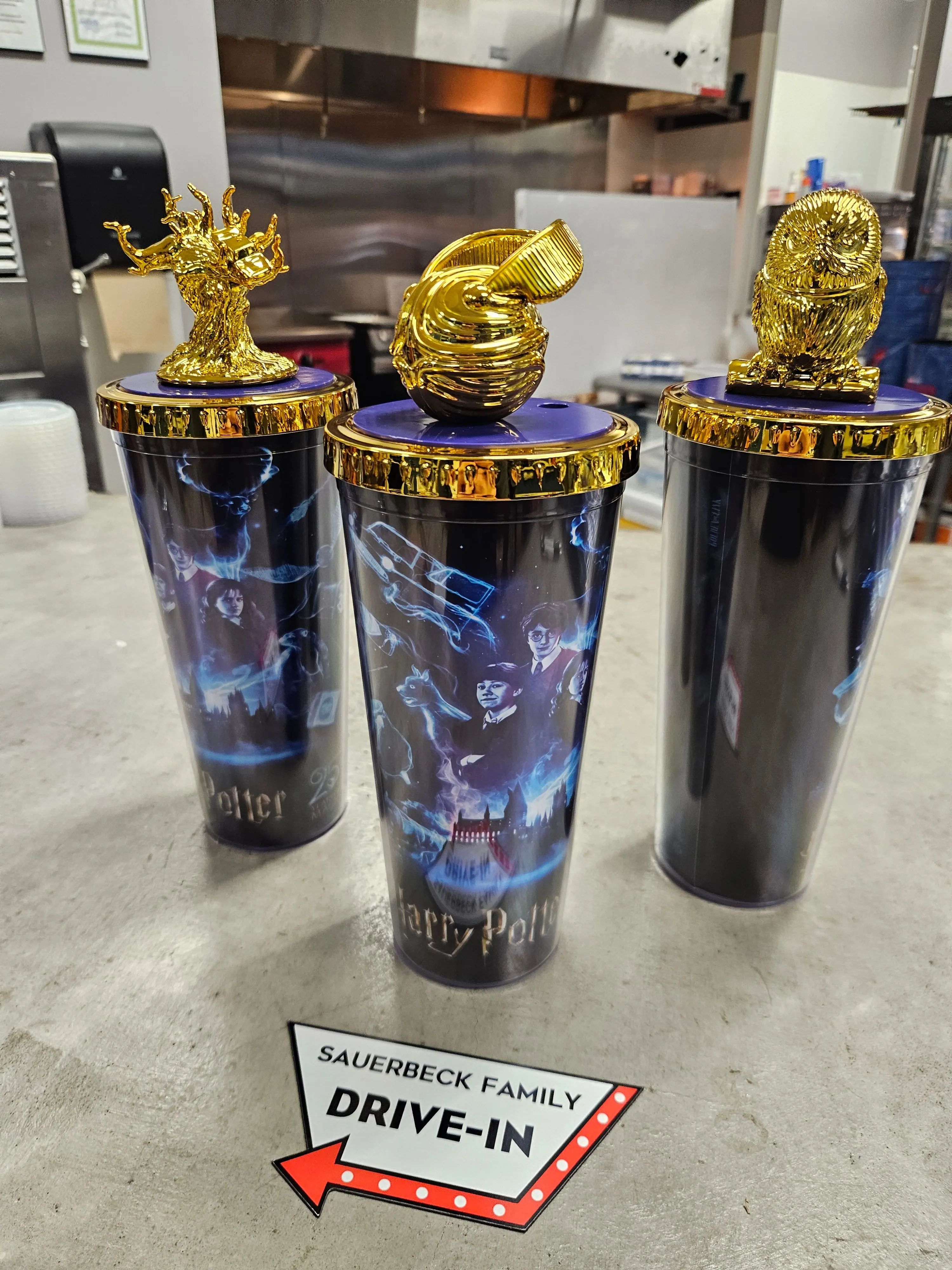 Harry Potter 25th Anniversary Double Wall Cup with Gold Figure Lid -Set of 3