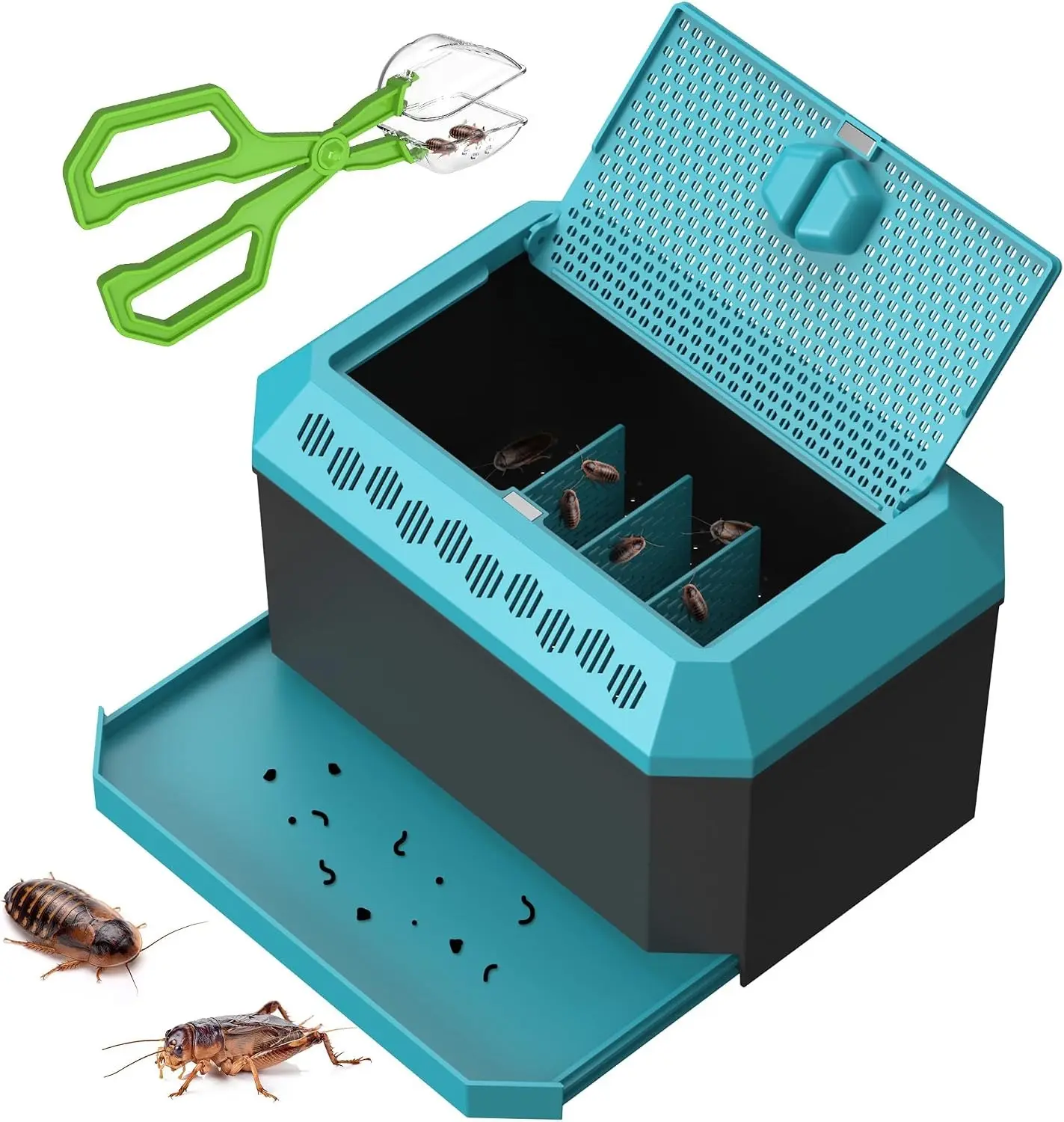 Breeding and Storage Container Kit for Dubia Roaches, Crickets, and Other Live Reptile Feeders with Secure Holding Box and Feeding Tongs - 9.25" L x 6.3" W x 5.71" H