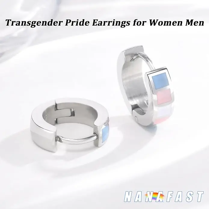 Stainless Steel Rainbow Huggie Hoop Earrings LGBT Pride Earrings for Women Men Lesbian Bisexual Transgender Nonbinary Asexual Flag Earrings LGBTQ Pride Jewelry Gifts
